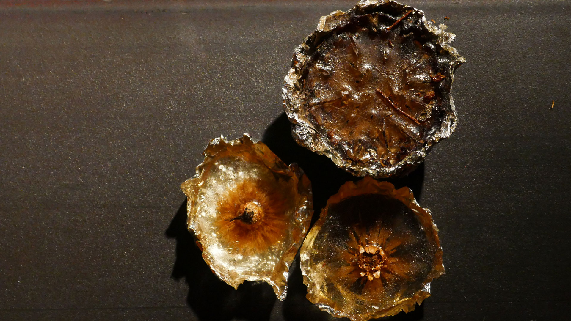 2025-12-22 SND 4 Vinyl hl Quad Motor Driver Tape Echo Vocoder Mix (abspielen Tape 30)